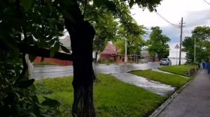 Ейск?А на что клюет пеленгас???Бюджетная, доступная наживка Рыбачим на Азовском море. Цветы и вишни