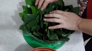 Замиокулькас размножаем и пересаживаем:)