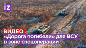 Стылые остовы и искореженный металл: очередная «дорога смерти» из уничтоженной техники ВСУ