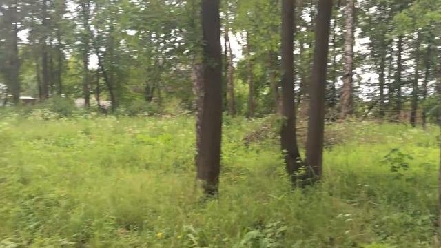 деревня Завалипьево