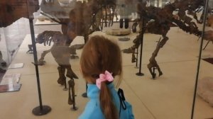 Посетили палеантологический музей. Динозавры в Крыму. Теория Дарвина