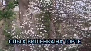 СИДЕЛА БАРЫНЯ НА ТРОНЕ, ПЕРЕБИРАЛА КУРИНЫЙ ПОМЁТ. ОЛЬГА УРАЛОЧКА LIVE.ОБЗОР ВЛОГА.