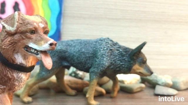 •НОВИНОЧКИ ФИГУРОК СОБАК• #schleich #собака #фигурка #шляйх #новинки