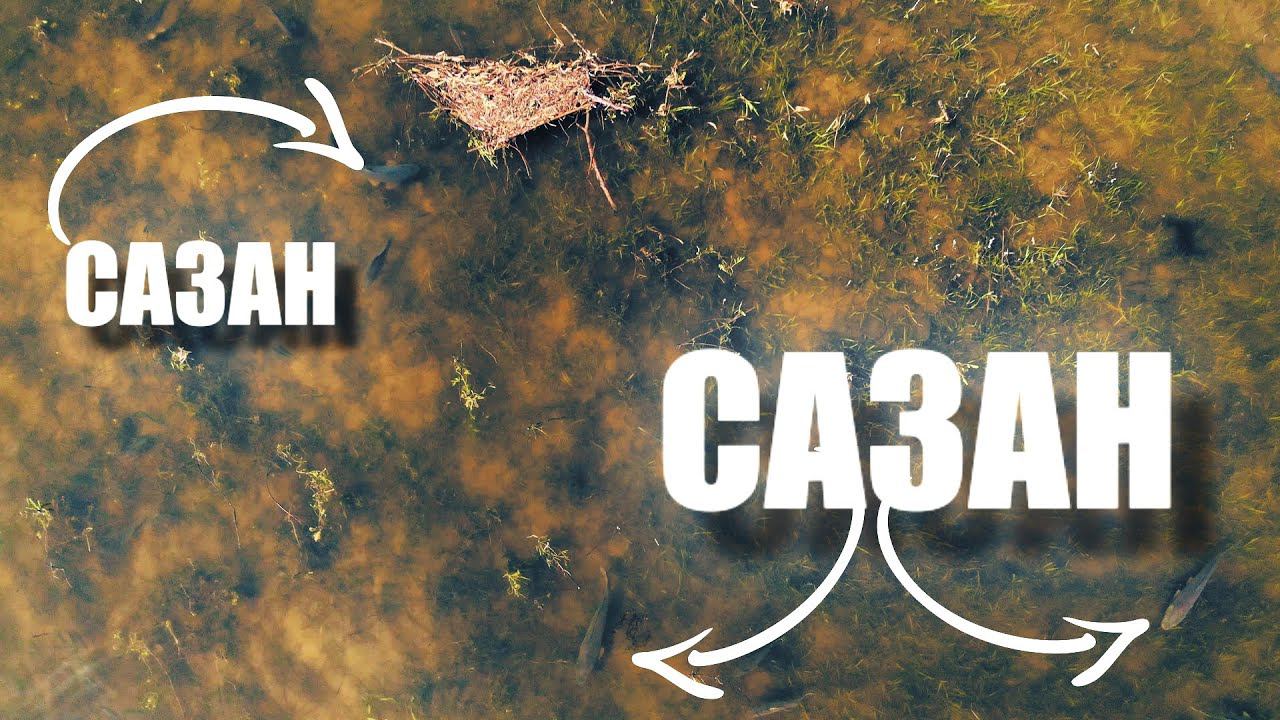 НЕРЕСТ РЫБЫ НА АСТРАХАНСКИХ РАЗЛИВАХ. РЫБАЛКА / НАПРАВЛЯЮСЬ В ОСЕННИЕ МЕСТА ЗА САЗАНОМ
