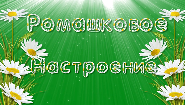 Ромашки для Наташки. Ромашки для Наташки картинки. Конфеты ромашки для Наташки.