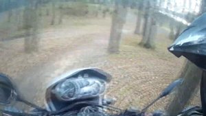 Гусенок за сотен. Эндуро обзор BMW F650GS