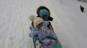 Басики катаются на санках и валяются в снегу