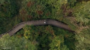 Livingstone, Victoria Falls - Zambia  : Overview