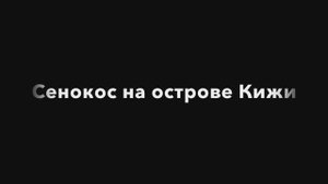 Сенокос на острове Кижи: Травяные вязки и дамасская сталь