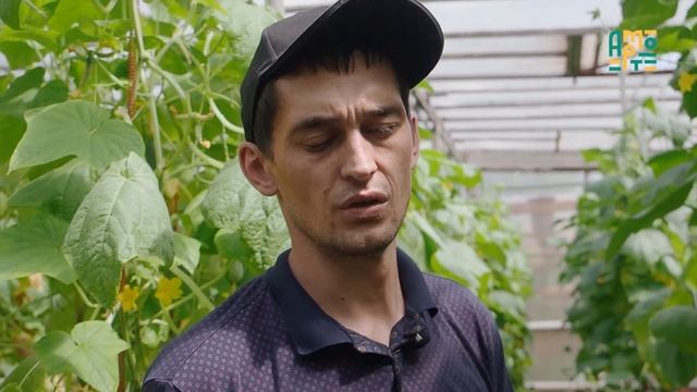 Зачем нужен свой огород и спасет ли он семейный бюджет?