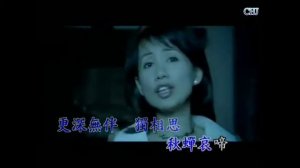 月夜愁-蔡幸娟(台語)情人再見(國語)(口琴獨奏伴卡拉OK) Michael Gor