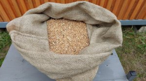 НИКОГДА НЕ ДАВАЙ ЭТО КУРАМ.