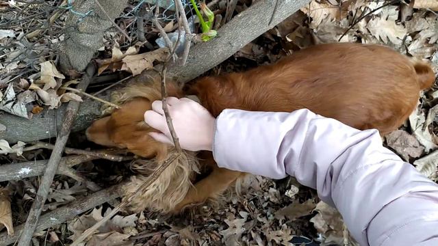 Наш охотник смотреть онлайн