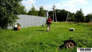 Бельгийская овчарка по кличке Дора. Досмотр участка местности.