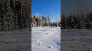 бурлак - эко букс по глубокому снегу с модулем толкачем