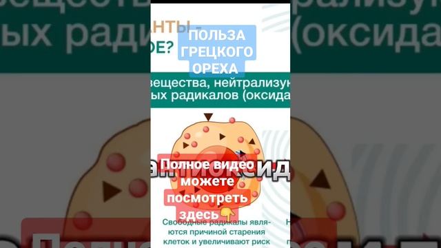 Польза ГРЕЦКОГО ОРЕХА | ГРЕЦКИЕ ОРЕХИ #грецкиеорехи #грецкийорех #орехи