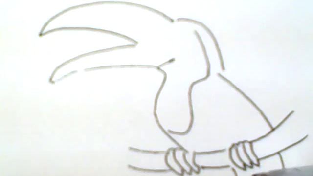 Toucan bird. How to draw a easy? (птица Тукан. Как нарисовать просто?) смотреть онлайн