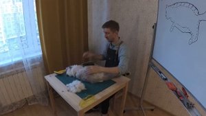 как подстричь кота