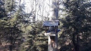 Санаторий "Амурский залив", 1часть.