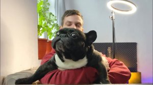 Забрал игрушку у малыша