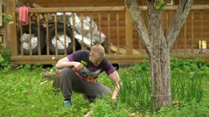 Утка в Восточном Тандыре со свежим сметанным соусом