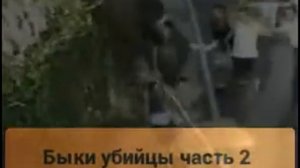 Быки убийцы часть2