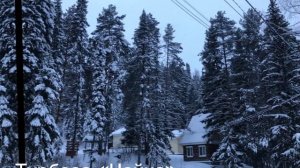 Турбаза "Чайка"