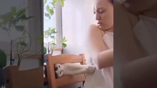 Хорошая идея