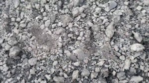 Что?можно найти за целый день копа?с?Симплекс плюс? #Фишер ,#Simplex_ Plus богатый коп , хутор?клас