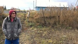 ПОЛЕВЫЕ ЦВЕТЫ - Валерий Палаускас