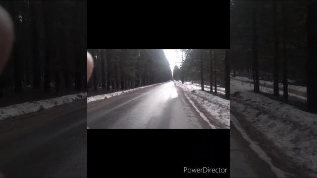 20лет нет тебя с нами,а боль еще сильней...