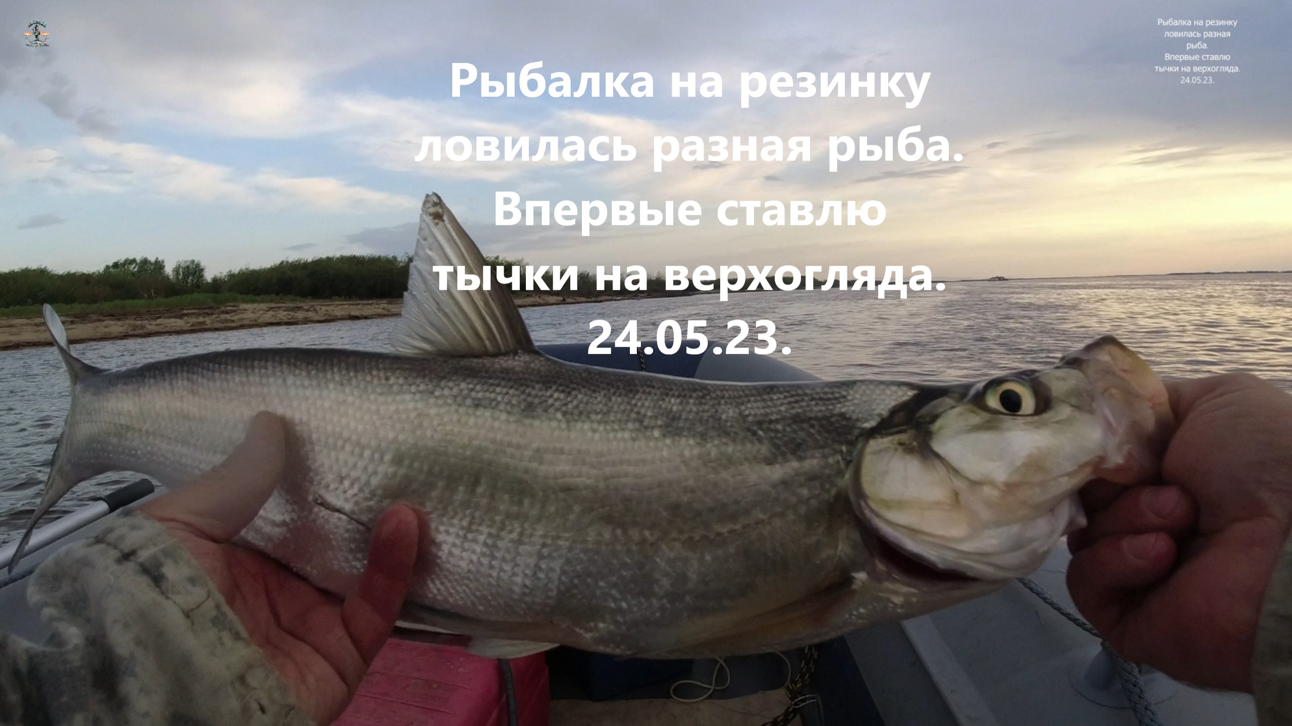 Рыбалка на резинку ловилась разная рыба. Впервые ставлю тычки на верхогляда. 24.05.23.
