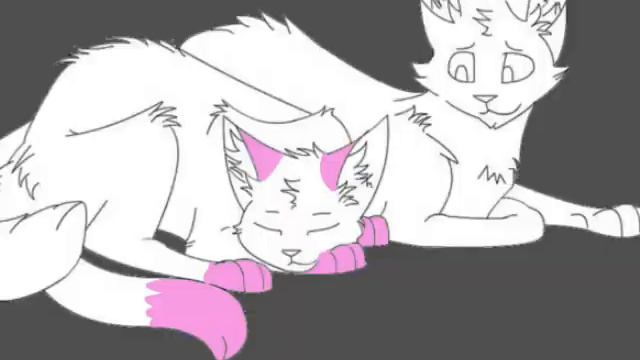 Ищу пару (кота) смотреть онлайн