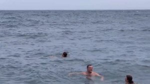 ИДУ КУПАТЬСЯ В МОРЕ. #ялтасегодня #крым #отдых