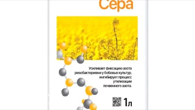 Почему у лука и чеснока весной желтеют листья? смотреть онлайн