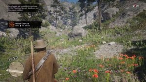 Red Dead Redemption 2: Killing a grizzly