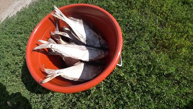 Вкусный подарок. Вяленая Рыба. смотреть онлайн