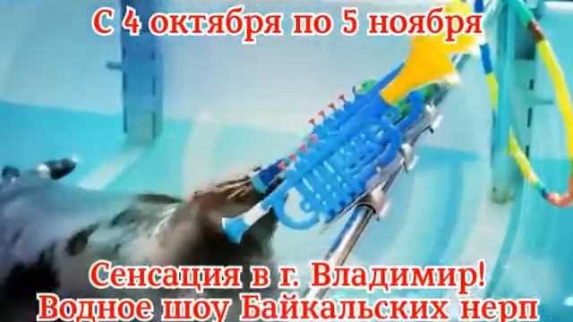 Нерпинарий