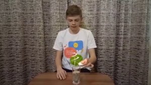ФИЗИЧЕСКИЙ ОПЫТ 2021! ФИЗИКА 8 КЛАСС КОНВЕКЦИЯ