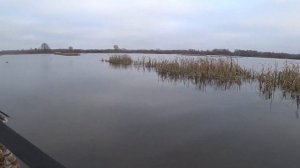 Охота на утку, пошла северная утка в Московской области. Ноябрь 2023.