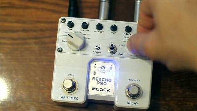 Mooer Reecho Pro Delay ( обзор/review )