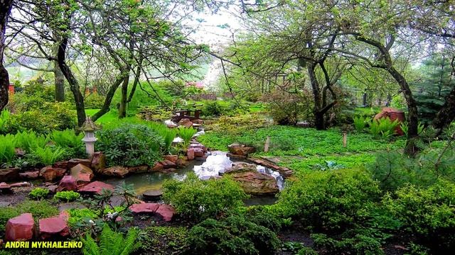 Декоративные водоемы, пруды, водопады, ручьи. (Decorative ponds, waterfalls, streams).