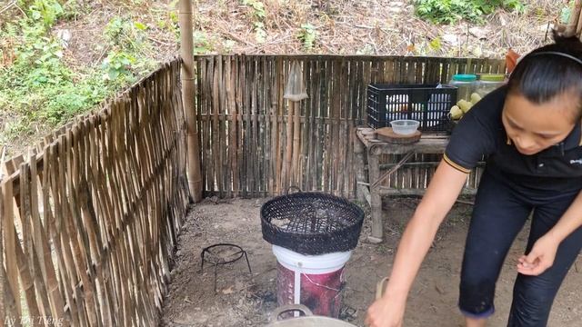 Harvest Corn Garden - How To Boil Corn goes to the market sell | Lý Thị Tiếng