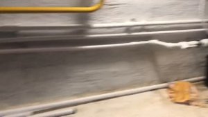 Система ГВС с накопительным бойлером от двухконтурного газового котла