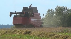 Уборка зерновых комбайнами Claas Lexion 770,760,580 и Полесье GS 12