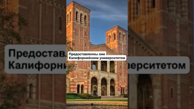 ПОЧЕМУ НЕ СТОИТ ЕХАТЬ В ДИСНЕЙЛЕНД?!