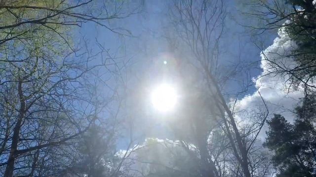 Коты.Куриный помёт.Погода шик. Дачные дела, делишки. смотреть онлайн