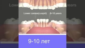 ВЫПАДЕНИЕ МОЛОЧНЫХ ЗУБОВ