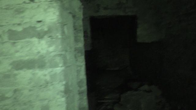 Васильевское - усадьба Повалишиных