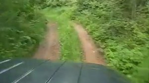 Поездка на авто в Шемякино